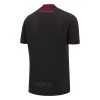 Camiseta de fútbol Albania Tercera Equipación 2024-25 - Hombre